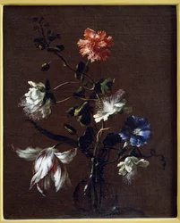 Still life of Caper Flowers, Carnations, Bindweed and Tulips